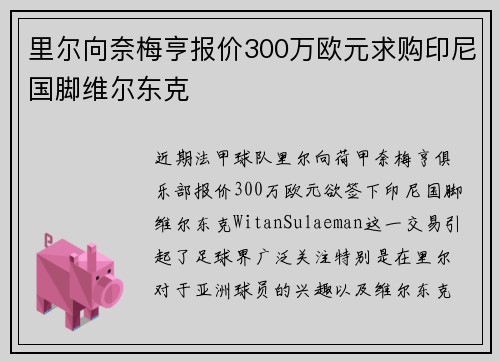 里尔向奈梅亨报价300万欧元求购印尼国脚维尔东克 里尔向奈梅亨报价300万欧元求购印尼国脚维尔东克
